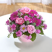 A bouquet of pink roses with purple and white daisies