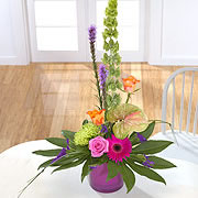 A purple vase, bouquet, with a pink rose, orange roses, a purple daisy, a Bells of Ireland flower and two purple Blazing-Stars  surrounded by green leaves