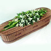 A wicker coffin spray, with white tulips on top of the coffin