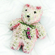 A floral teddy, with three pinks roses on the teddy's chest