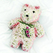 A floral teddy, with three pinks roses on the teddy's chest