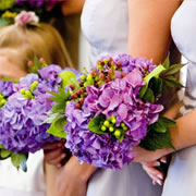 A bouquet of purple Hydrangeas and berries, hand-tied