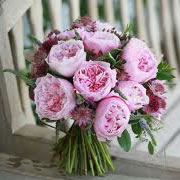 A David Austin bouquet, Greenery and Astrantia, hand-tied